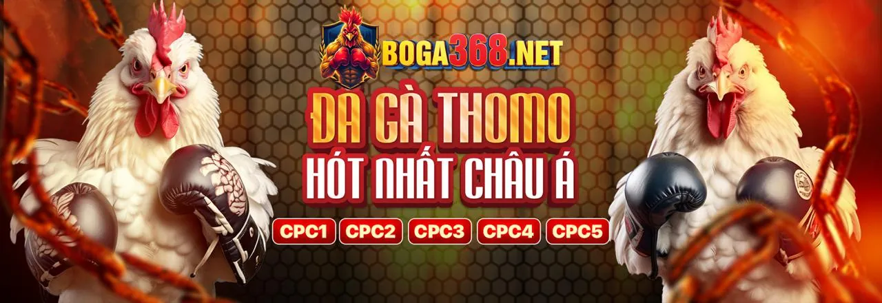 Các phương thức liên hệ hỗ trợ khách hàng của 28win